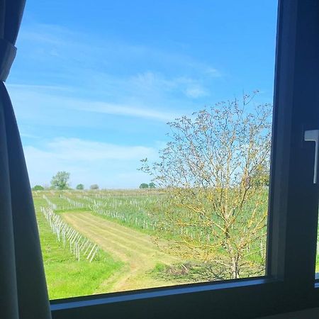 Maison Divon Montagne  Εξωτερικό φωτογραφία